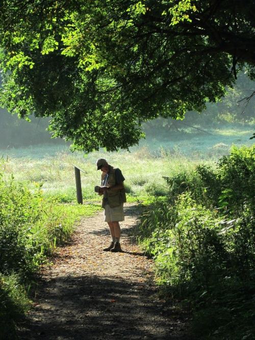 A person stands on a forest path, surrounded by greenery, reading or writing under a large tree.