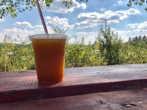 A cup of orange drink with a straw sits on a wooden table, surrounded by a scenic outdoor landscape and blue sky.