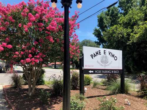 A sign for "Pane e Vino" surrounded by pink flowering trees, with a direction for more parking in the back.