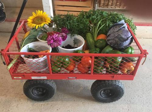 A red wagon filled with fresh vegetables, flowers, and herbs, parked on a concrete surface.