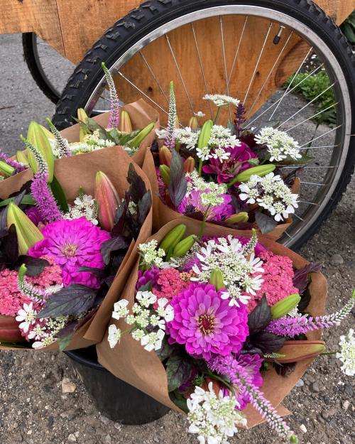 Colorful flower bouquets wrapped in brown paper, placed near a bicycle wheel on a gravel surface.