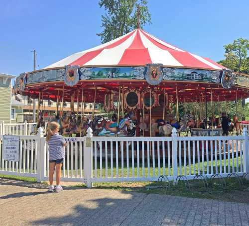 A young girl watches a colorful carousel with horses, surrounded by a white fence on a sunny day.