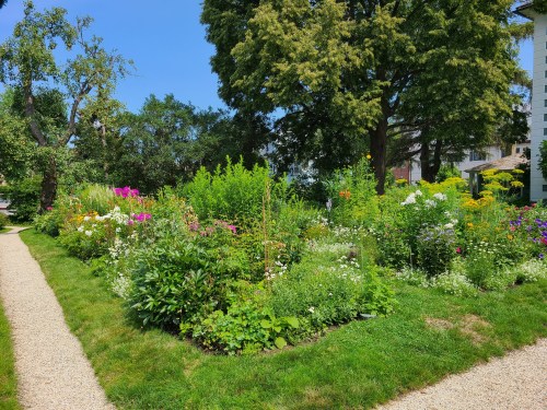 A vibrant garden filled with colorful flowers and lush greenery, bordered by a gravel path under a clear blue sky.