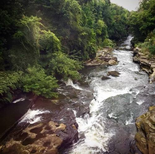 A serene river flows through a lush green landscape, surrounded by trees and rocky banks.