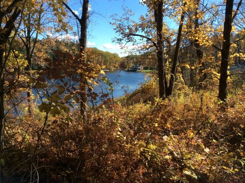 A serene lake surrounded by trees with vibrant autumn foliage under a clear blue sky.