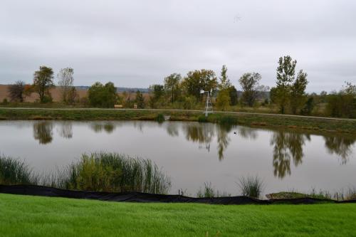 A calm pond surrounded by greenery and trees, with a cloudy sky overhead and a windmill in the background.