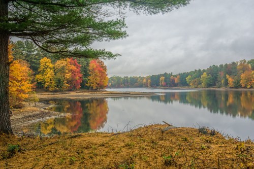 A serene lake surrounded by vibrant autumn trees reflecting on the water under a cloudy sky.