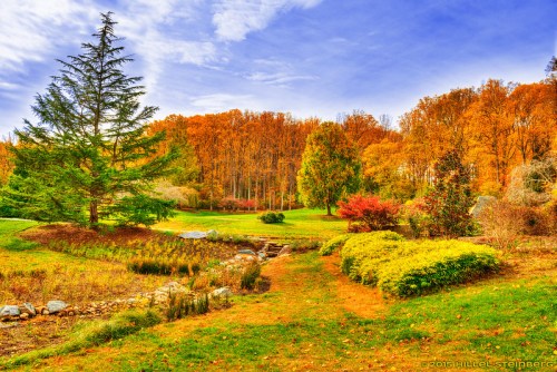 A serene autumn landscape featuring colorful trees, a stream, and lush greenery under a bright blue sky.