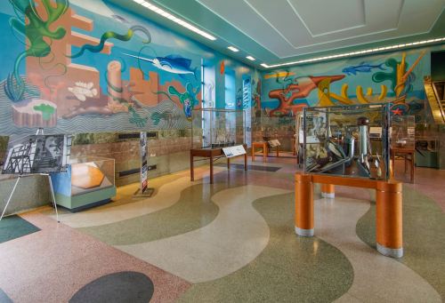 Colorful mural on a wall in a museum, with display cases and a patterned floor showcasing various exhibits.