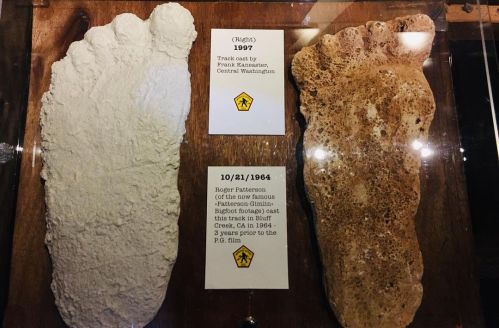 Two large foot casts displayed in a case, labeled with dates and information about their origins.