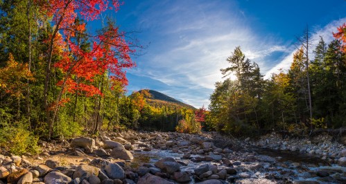 A serene river flows through a colorful forest with autumn leaves and a mountain under a bright blue sky.