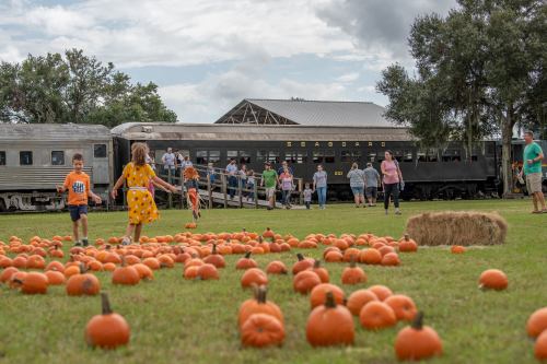 Children play among pumpkins in a field, with a vintage train and people in the background on a cloudy day.