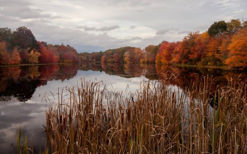 A serene lake surrounded by vibrant autumn foliage reflecting in the water under a cloudy sky.