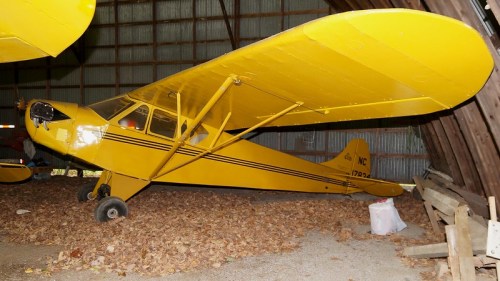 A vintage yellow airplane parked inside a barn, surrounded by fallen leaves and wooden beams.