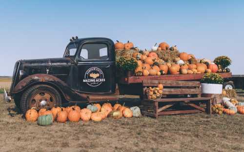 An old truck filled with pumpkins and gourds, surrounded by hay bales and a wooden bench in a field.