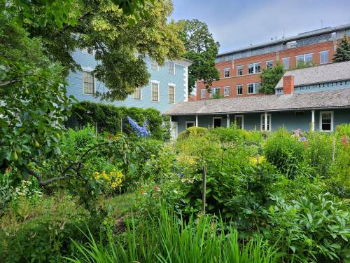 Lush garden with colorful flowers and greenery, surrounded by buildings in a serene setting.