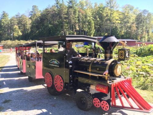 A small train with passengers travels along a gravel path surrounded by trees and greenery.