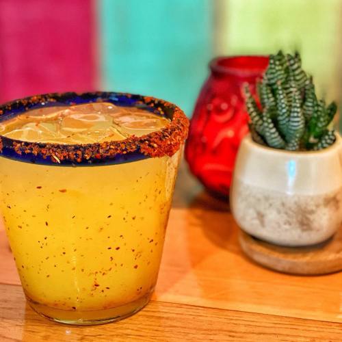 A vibrant margarita with a salted rim, garnished with orange slices, next to a small potted plant on a colorful background.