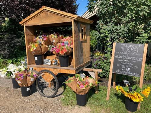 A wooden flower cart filled with colorful bouquets, next to a sign for "Backyard Blooms" and social media handles.