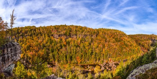 A panoramic view of a vibrant forest in autumn, showcasing colorful foliage and a winding river below.