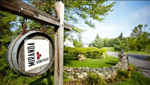 Sign for "Miranda Vineyard" hanging from a wooden post, surrounded by lush greenery and a stone wall.