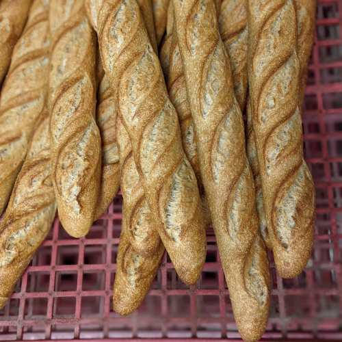 A close-up of freshly baked twisted breadsticks arranged on a cooling rack.