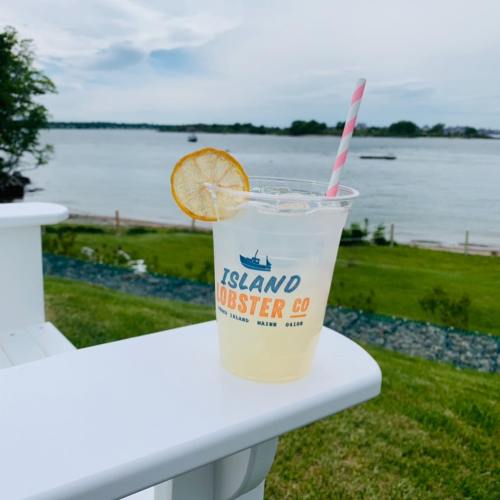 A refreshing drink with a lemon slice sits on a table, overlooking a scenic waterfront view.