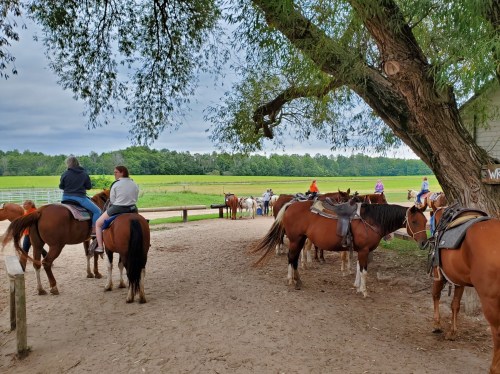A group of people on horseback near a stable, with green fields and trees in the background under a cloudy sky.