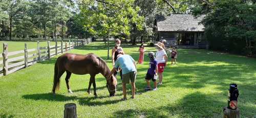 A group of children and adults interact with a brown horse in a grassy area near a wooden fence and a cabin.