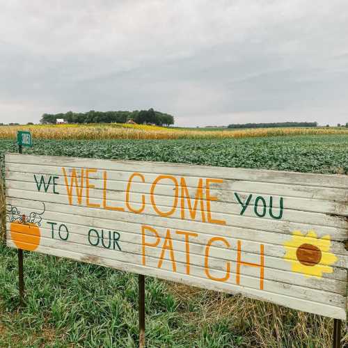 A wooden sign reads "Welcome to our patch" with a pumpkin and sunflower design, set against a field backdrop.