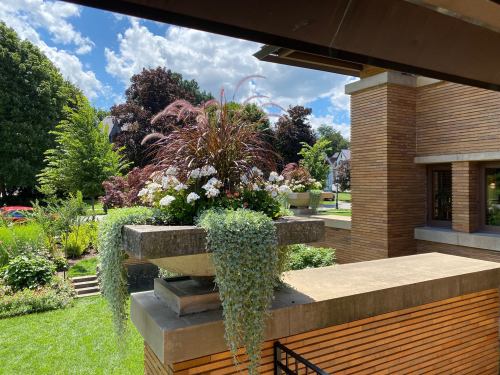 A lush planter with flowers and greenery sits on a balcony, overlooking a sunny garden and blue sky.