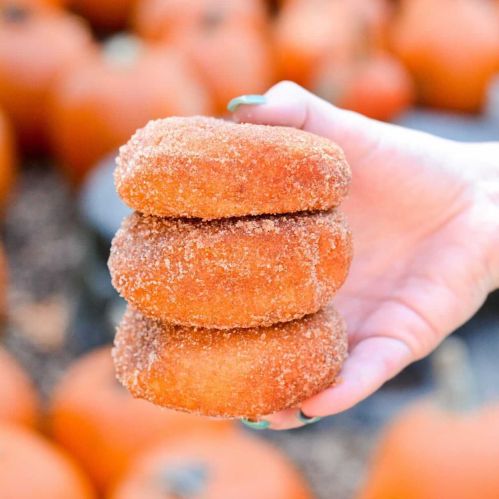 A hand holding three stacked cinnamon sugar donuts, with pumpkins in the background.