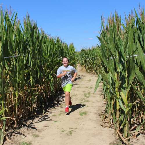 A child runs joyfully through a cornfield, surrounded by tall green corn plants under a clear blue sky.