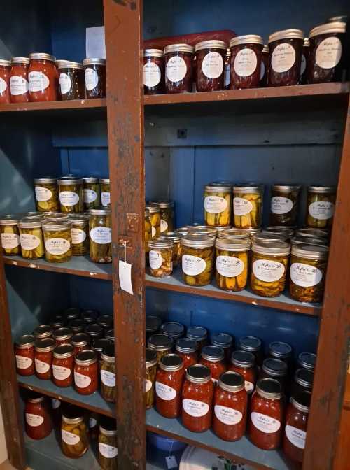 A wooden shelf filled with jars of various canned goods, all labeled with white tags.