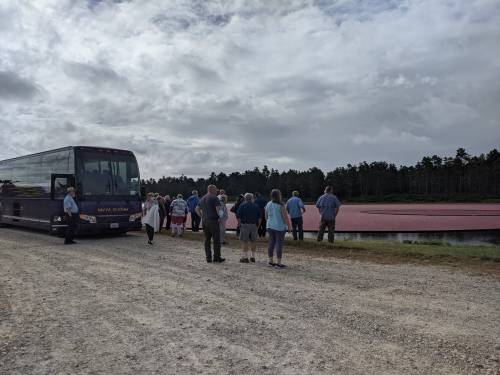A group of people stands by a bus, observing a cranberry bog with bright red water under a cloudy sky.