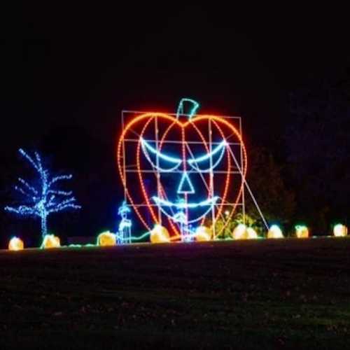 A large illuminated pumpkin with a smiling face, surrounded by glowing pumpkins and trees, set against a dark night sky.