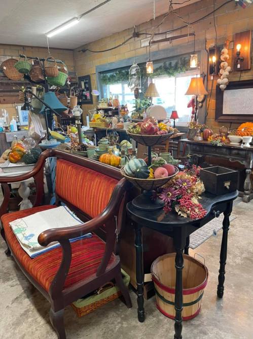 A cozy shop filled with vintage furniture and autumn decorations, including pumpkins and colorful gourds on display.