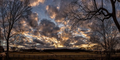 A panoramic view of a sunset with dramatic clouds and rays of light, framed by bare trees and a grassy field.