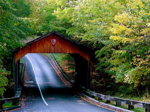 A wooden covered bridge spans a winding road, surrounded by vibrant green and autumn-colored trees.