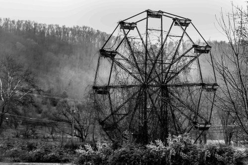 An abandoned ferris wheel overgrown with vines, set against a misty, wooded backdrop in black and white.