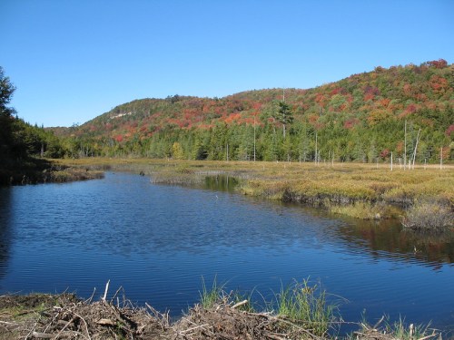 A serene landscape featuring a calm river surrounded by colorful autumn foliage and lush greenery under a clear blue sky.