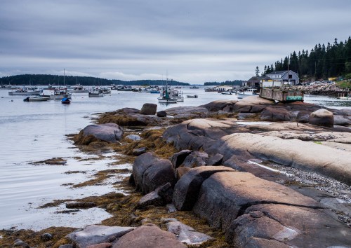 A rocky shoreline with boats in the water and a cloudy sky, surrounded by trees and distant hills.