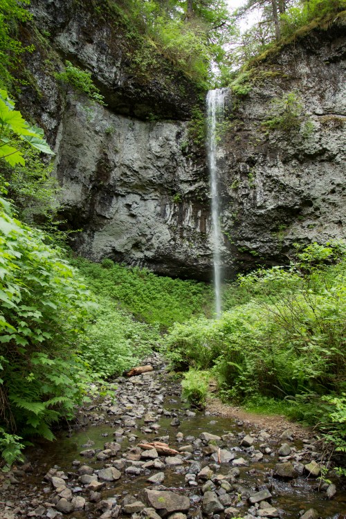A serene waterfall cascades down rocky cliffs, surrounded by lush greenery and a rocky stream below.