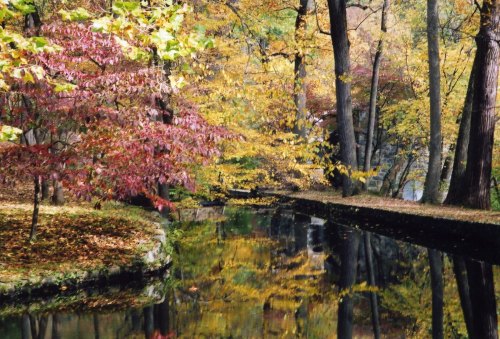 A serene autumn scene with colorful trees reflecting in a calm stream surrounded by fallen leaves.