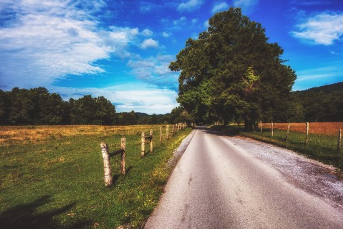 A scenic rural road lined with trees and a fence, under a blue sky with scattered clouds.