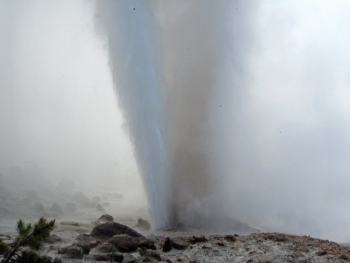 A geyser erupts, sending a plume of water and steam into the air amidst a rocky landscape.
