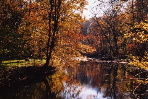 A serene river surrounded by vibrant autumn foliage reflecting in the water under a clear blue sky.