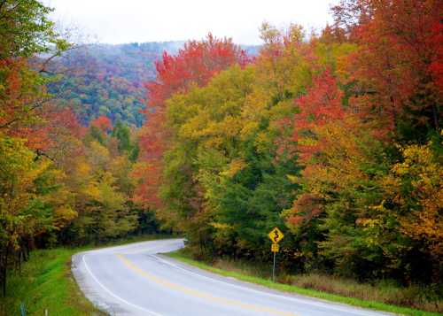 A winding road surrounded by vibrant autumn foliage in shades of red, orange, and yellow.