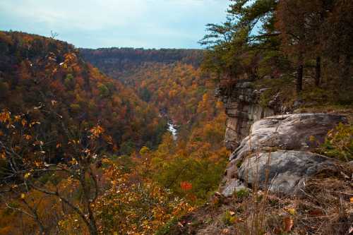 A scenic view of a colorful autumn landscape with a river winding through a valley surrounded by rocky cliffs.