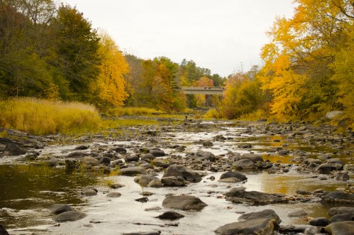 A serene river scene with smooth stones, surrounded by autumn trees in vibrant yellow and orange hues, under a cloudy sky.